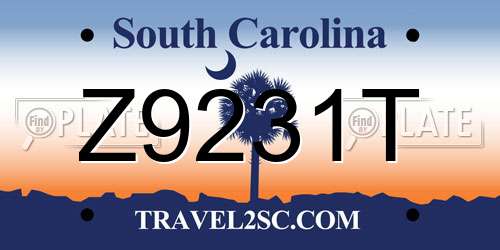Z9231T South Carolina License Plate
