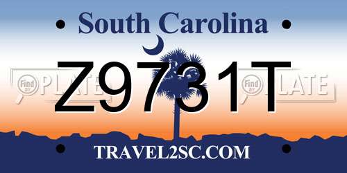 Z9731T South Carolina License Plate