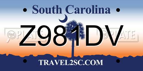 Z981DV South Carolina License Plate