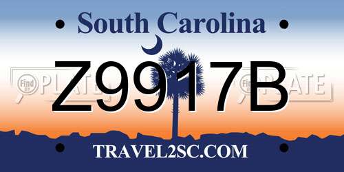 Z9917B South Carolina License Plate