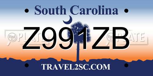 Z991ZB South Carolina License Plate