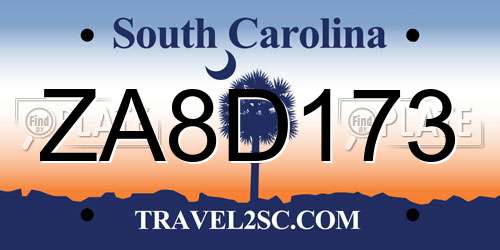 ZA8D173 South Carolina License Plate