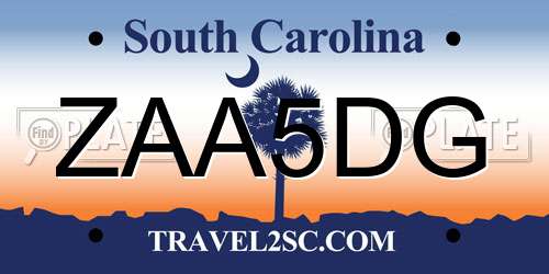 ZAA5DG South Carolina License Plate