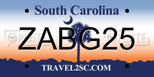ZABG25 South Carolina License Plate