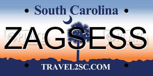 ZAGSESS South Carolina License Plate