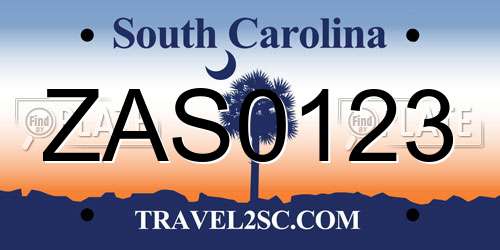 ZAS0123 South Carolina License Plate