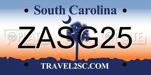 ZASG25 South Carolina License Plate