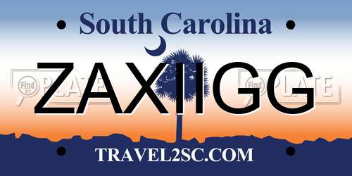 ZAXIIGG South Carolina License Plate