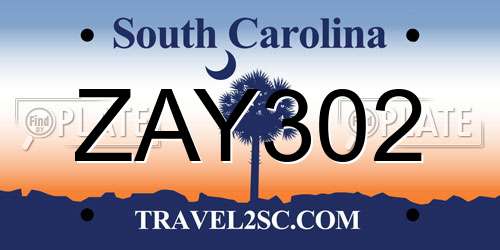 ZAY302 South Carolina License Plate
