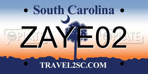 ZAYE02 South Carolina License Plate