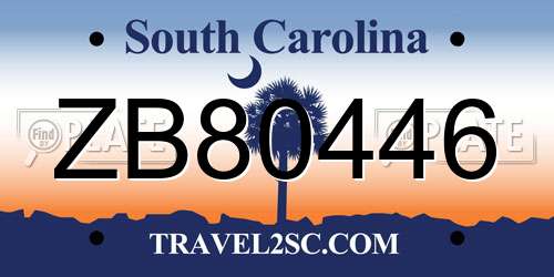 ZB80446 South Carolina License Plate