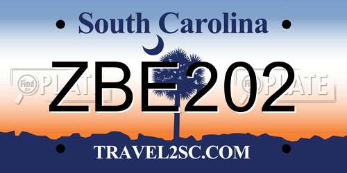 ZBE202 South Carolina License Plate