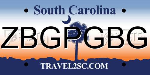 ZBGPGBG South Carolina License Plate