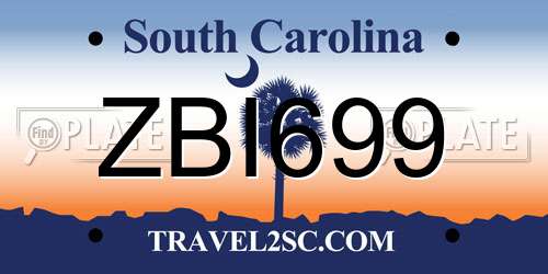 ZBI699 South Carolina License Plate