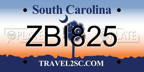 ZBI825 South Carolina License Plate