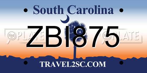 ZBI875 South Carolina License Plate