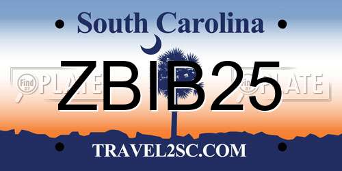 ZBIB25 South Carolina License Plate
