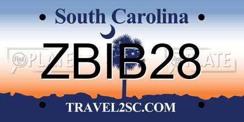 ZBIB28 South Carolina License Plate
