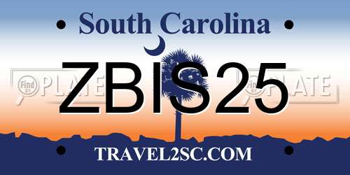ZBIS25 South Carolina License Plate