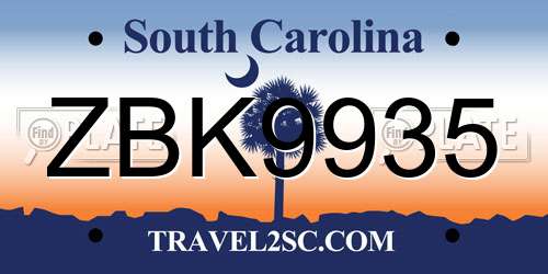 ZBK9935 South Carolina License Plate
