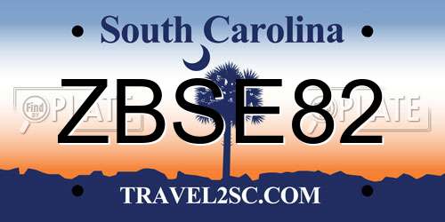ZBSE82 South Carolina License Plate