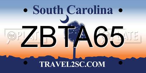 ZBTA65 South Carolina License Plate