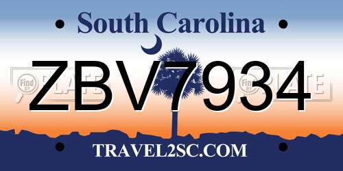 ZBV7934 South Carolina License Plate