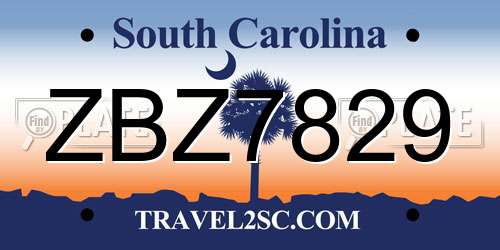 ZBZ7829 South Carolina License Plate