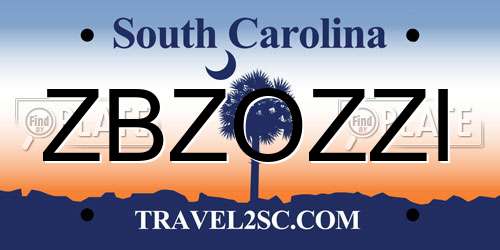 ZBZOZZI South Carolina License Plate