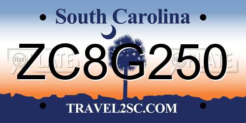 ZC8G250 South Carolina License Plate