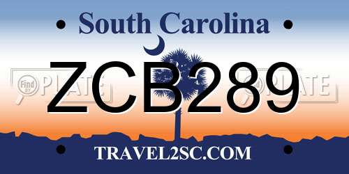 ZCB289 South Carolina License Plate