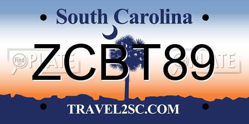 ZCBT89 South Carolina License Plate