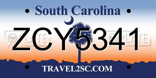 ZCY5341 South Carolina License Plate