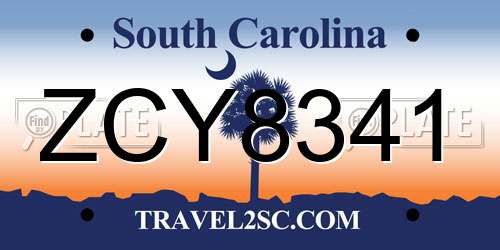 ZCY8341 South Carolina License Plate