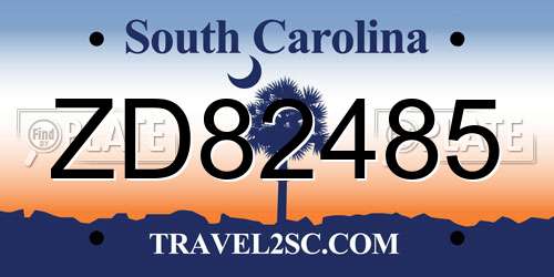 ZD82485 South Carolina License Plate