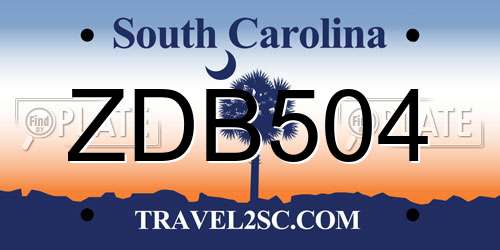 ZDB504 South Carolina License Plate