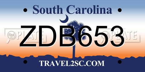 ZDB653 South Carolina License Plate