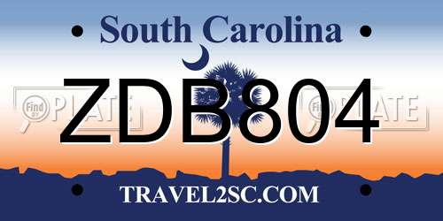 ZDB804 South Carolina License Plate