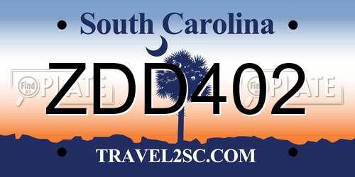 ZDD402 South Carolina License Plate