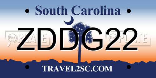 ZDDG22 South Carolina License Plate