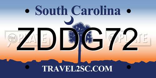 ZDDG72 South Carolina License Plate