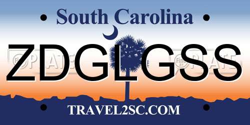 ZDGLGSS South Carolina License Plate