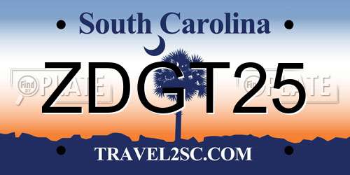 ZDGT25 South Carolina License Plate