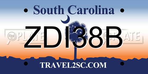 ZDI38B South Carolina License Plate