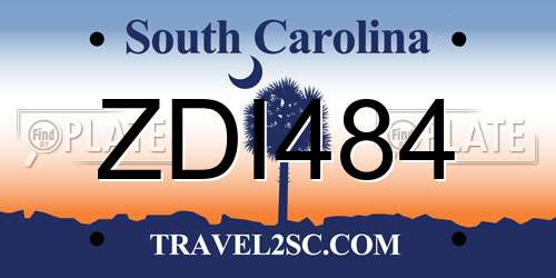 ZDI484 South Carolina License Plate
