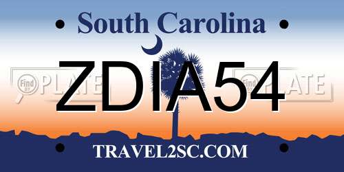 ZDIA54 South Carolina License Plate