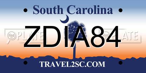 ZDIA84 South Carolina License Plate
