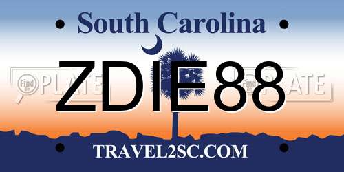 ZDIE88 South Carolina License Plate