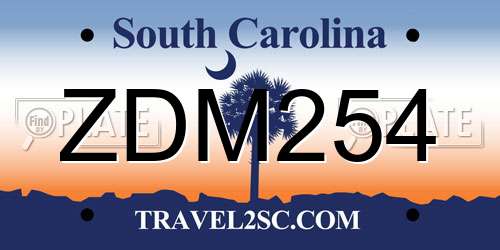 ZDM254 South Carolina License Plate