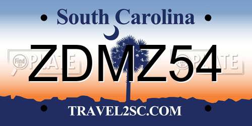 ZDMZ54 South Carolina License Plate